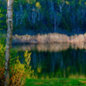 Meet your Posher, Maureen